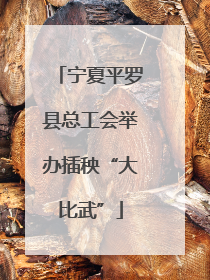宁夏平罗县总工会举办插秧“大比武”