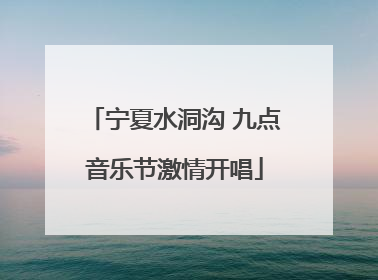 宁夏水洞沟 九点音乐节激情开唱