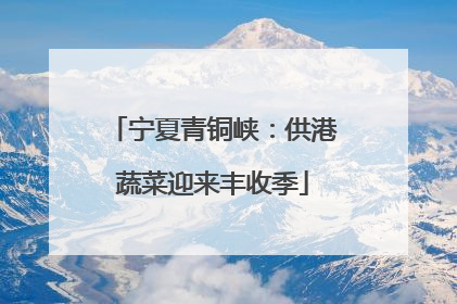 宁夏青铜峡：供港蔬菜迎来丰收季