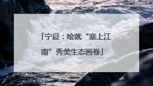宁夏：绘就“塞上江南”秀美生态画卷