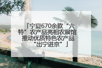 宁夏670余款“六特”农产品亮相农展馆 推动优质特色农产品“出宁进京”