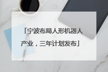 宁波布局人形机器人产业，三年计划发布