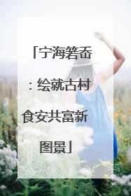 宁海箬岙：绘就古村食安共富新图景