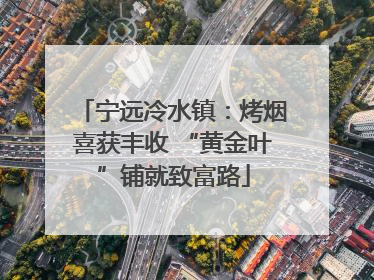 宁远冷水镇：烤烟喜获丰收 “黄金叶”铺就致富路