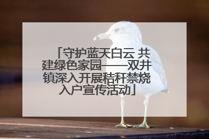 守护蓝天白云 共建绿色家园——双井镇深入开展秸秆禁烧入户宣传活动
