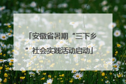 安徽省暑期“三下乡”社会实践活动启动
