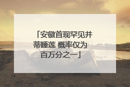 安徽首现罕见并蒂睡莲 概率仅为百万分之一