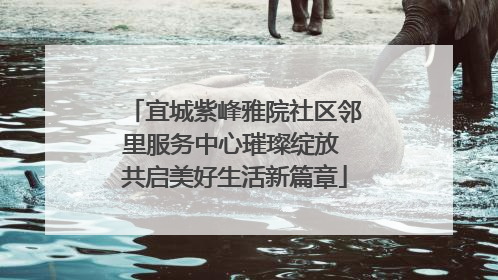 宜城紫峰雅院社区邻里服务中心璀璨绽放 共启美好生活新篇章
