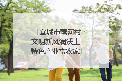 宜城市莺河村：文明新风润沃土 特色产业富农家