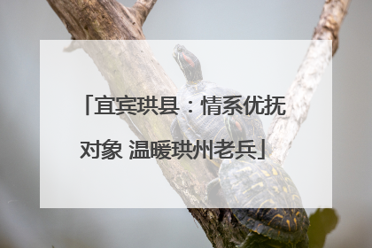 宜宾珙县：情系优抚对象 温暖珙州老兵
