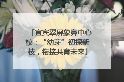 宜宾翠屏象鼻中心校：“幼芽”初探新枝，衔接共育未来
