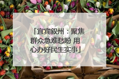 宜宾叙州：聚焦群众急难愁盼 用心办好民生实事