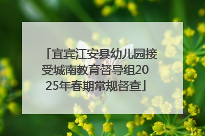 宜宾江安县幼儿园接受城南教育督导组2025年春期常规督查
