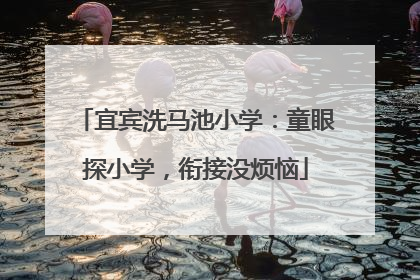 宜宾洗马池小学：童眼探小学，衔接没烦恼