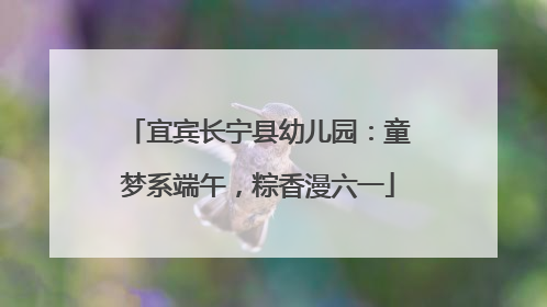 宜宾长宁县幼儿园：童梦系端午，粽香漫六一