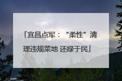 宜昌点军：“柔性”清理违规菜地 还绿于民