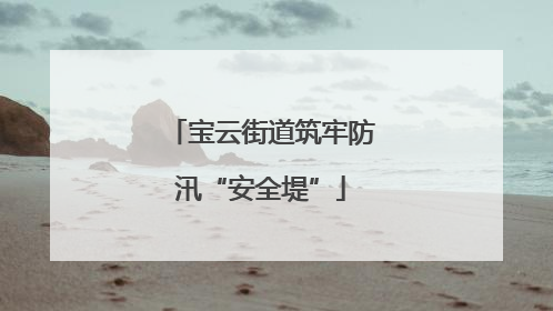 宝云街道筑牢防汛“安全堤”