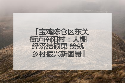 宝鸡陈仓区东关街道南阳村：大棚经济结硕果 绘就乡村振兴新图景