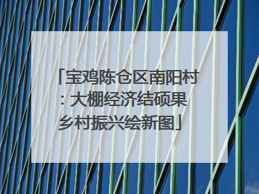 宝鸡陈仓区南阳村：大棚经济结硕果 乡村振兴绘新图