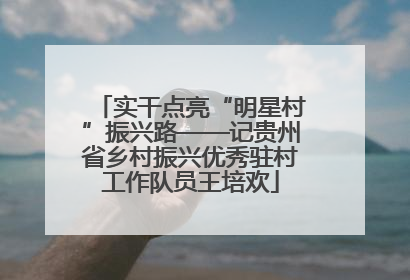 实干点亮“明星村”振兴路——记贵州省乡村振兴优秀驻村工作队员王培欢