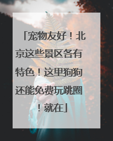宠物友好！北京这些景区各有特色！这里狗狗还能免费玩跳圈！就在