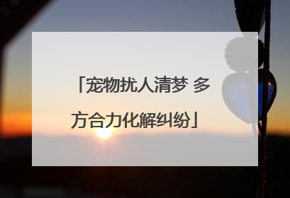 宠物扰人清梦 多方合力化解纠纷