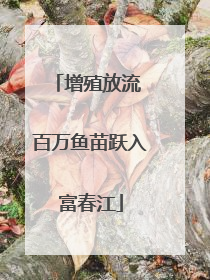 增殖放流 百万鱼苗跃入富春江