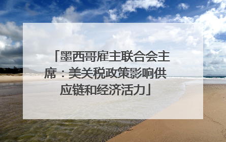 墨西哥雇主联合会主席：美关税政策影响供应链和经济活力