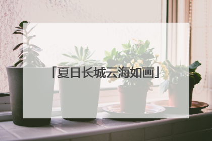 夏日长城云海如画