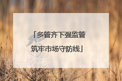 多管齐下强监管 筑牢市场守防线