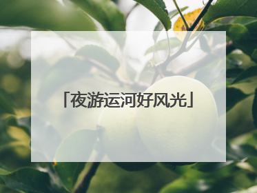夜游运河好风光