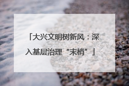 大兴文明树新风：深入基层治理“末梢”