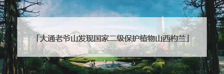 大通老爷山发现国家二级保护植物山西杓兰