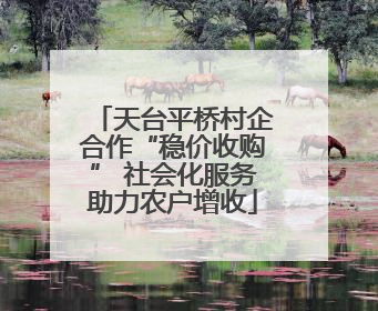 天台平桥村企合作“稳价收购” 社会化服务助力农户增收