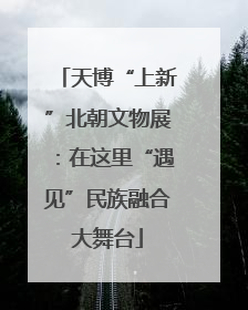天博“上新”北朝文物展：在这里“遇见”民族融合大舞台