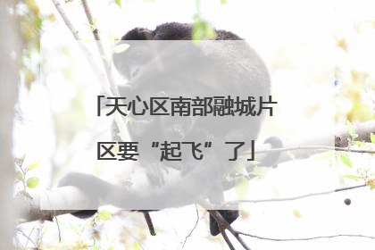 天心区南部融城片区要“起飞”了