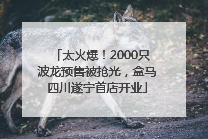 太火爆！2000只波龙预售被抢光，盒马四川遂宁首店开业