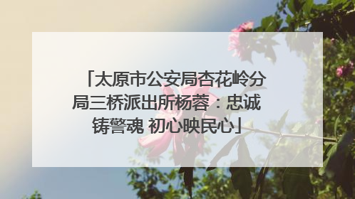 太原市公安局杏花岭分局三桥派出所杨蓉：忠诚铸警魂 初心映民心