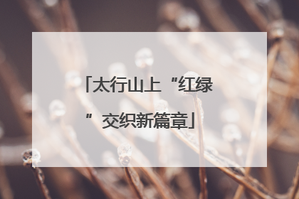 太行山上“红绿”交织新篇章
