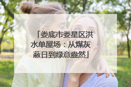 娄底市娄星区洪水单屋场：从煤灰蔽日到绿意盎然