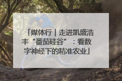 媒体行｜走进凯盛浩丰“番茄硅谷”：看数字神经下的精准农业