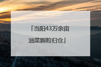 当阳43万余亩油菜颗粒归仓
