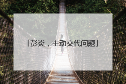 彭炎，主动交代问题