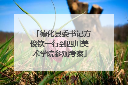 德化县委书记方俊钦一行到四川美术学院参观考察