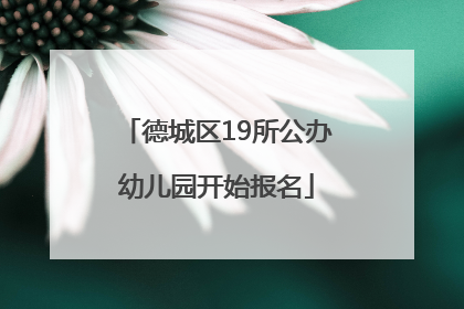 德城区19所公办幼儿园开始报名