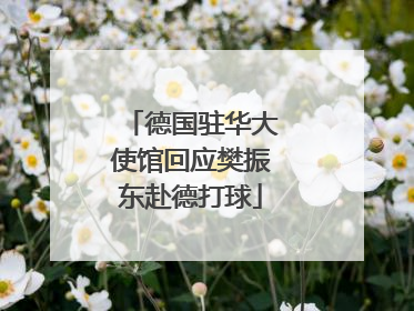 德国驻华大使馆回应樊振东赴德打球