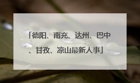德阳、南充、达州、巴中、甘孜、凉山最新人事