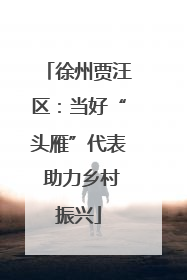 徐州贾汪区：当好“头雁”代表 助力乡村振兴