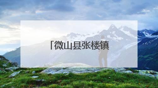 微山县张楼镇人大代表助力“三夏”生产