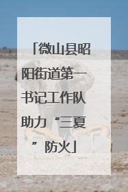微山县昭阳街道第一书记工作队助力“三夏”防火